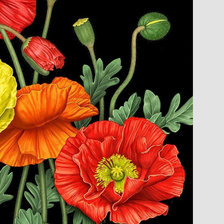 Схема вышивки «№2030350»