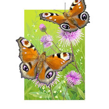 Схема вышивки «№2030352»