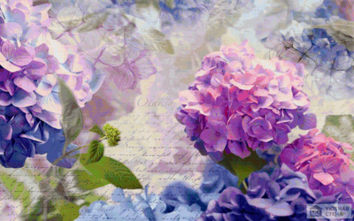 гортензия - цветы - предпросмотр