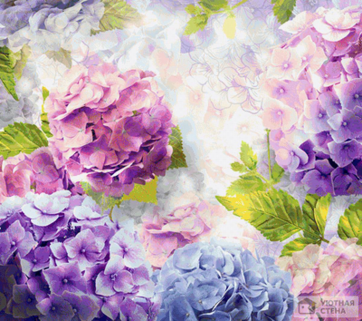 гортензия 2 - цветы - предпросмотр