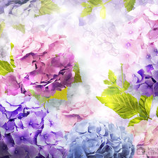 Схема вышивки «гортензия 2»