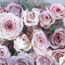 Схема вышивки «розы»