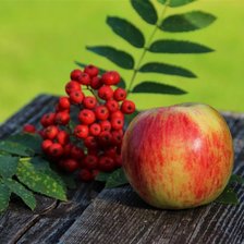 Схема вышивки «Осенний натюрморт»