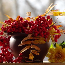 Схема вышивки «Осенний натюрморт»