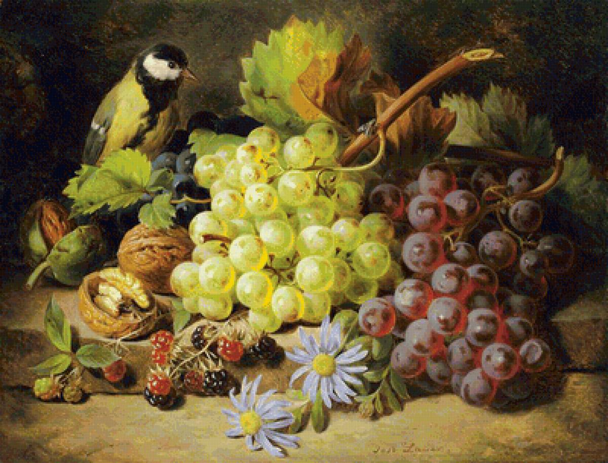 Синица и виноград - малина, птица, виноград, орехи - предпросмотр