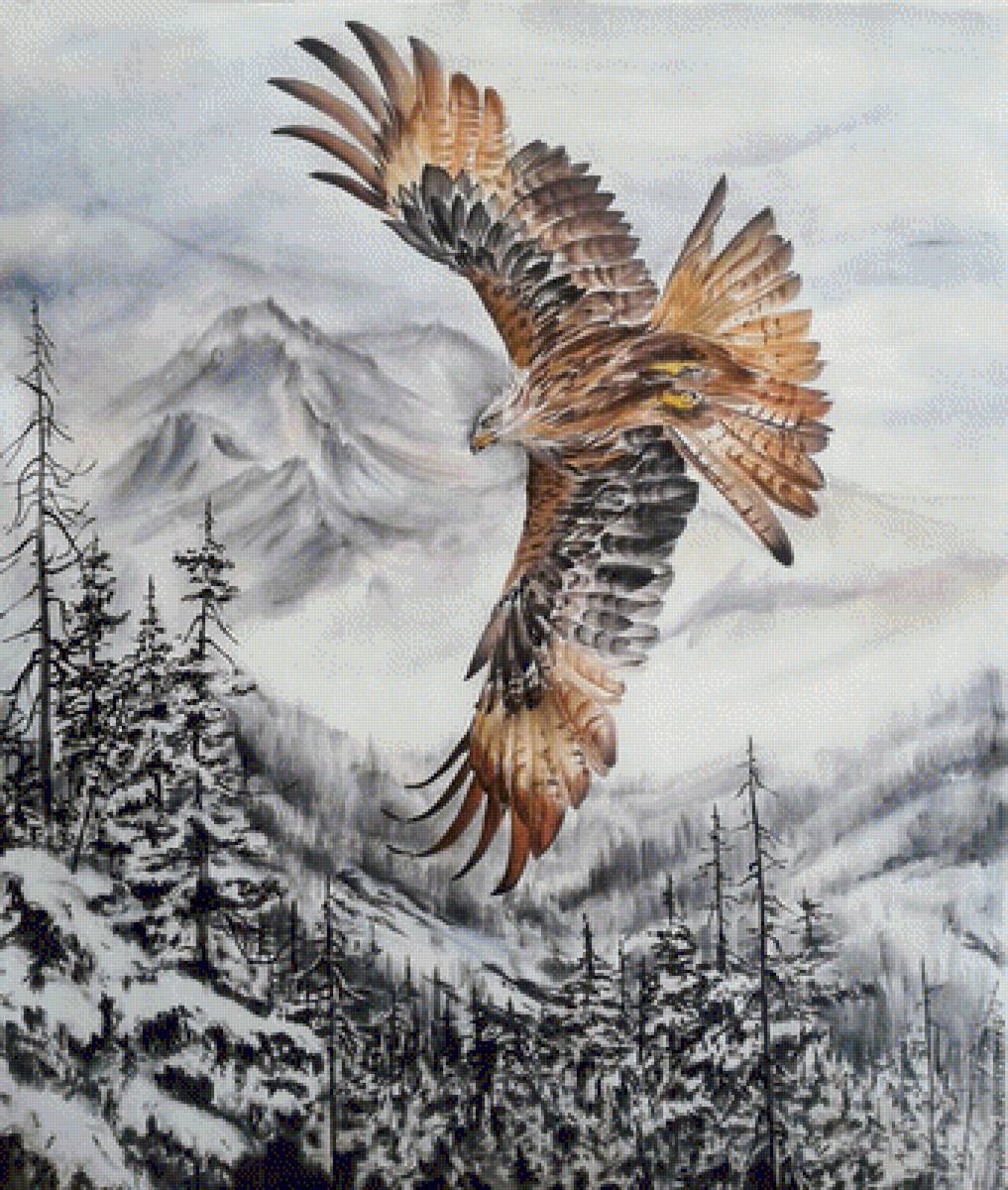 Полет орла - птицы, орел - предпросмотр