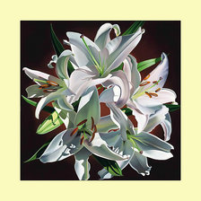 Схема вышивки «Белые лилии.»