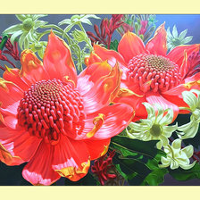 Экзотические цветы.