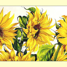 Схема вышивки «Подсолнухи.»