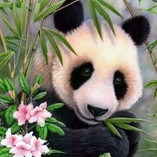 Схема вышивки «дикие»