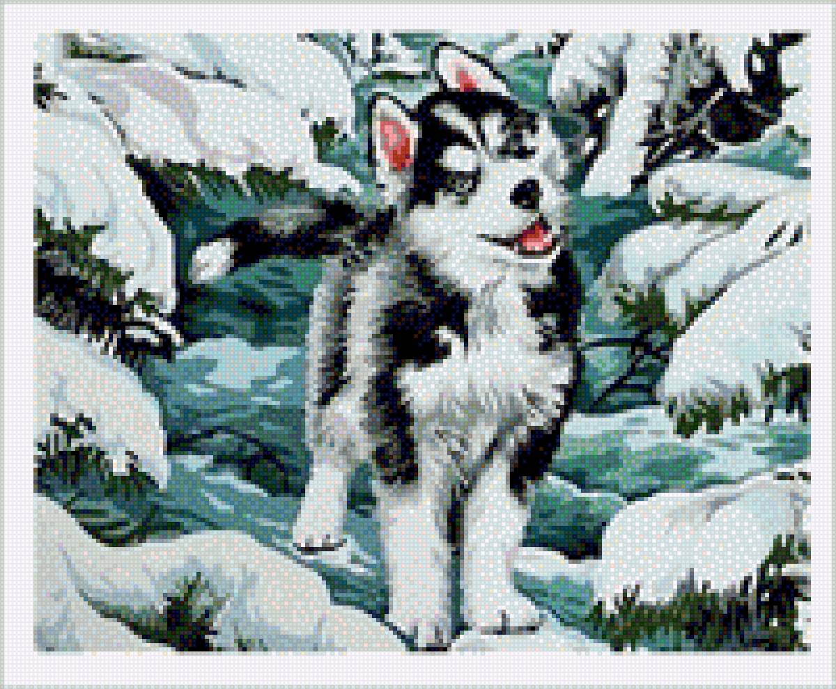 №2031515 - предпросмотр