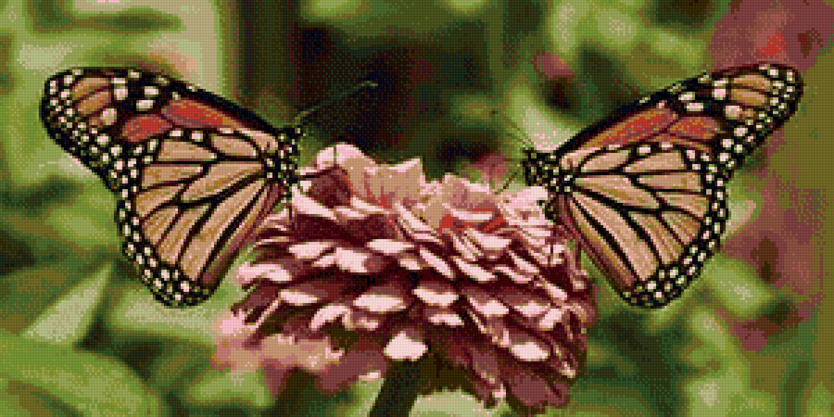 №2031576 - предпросмотр