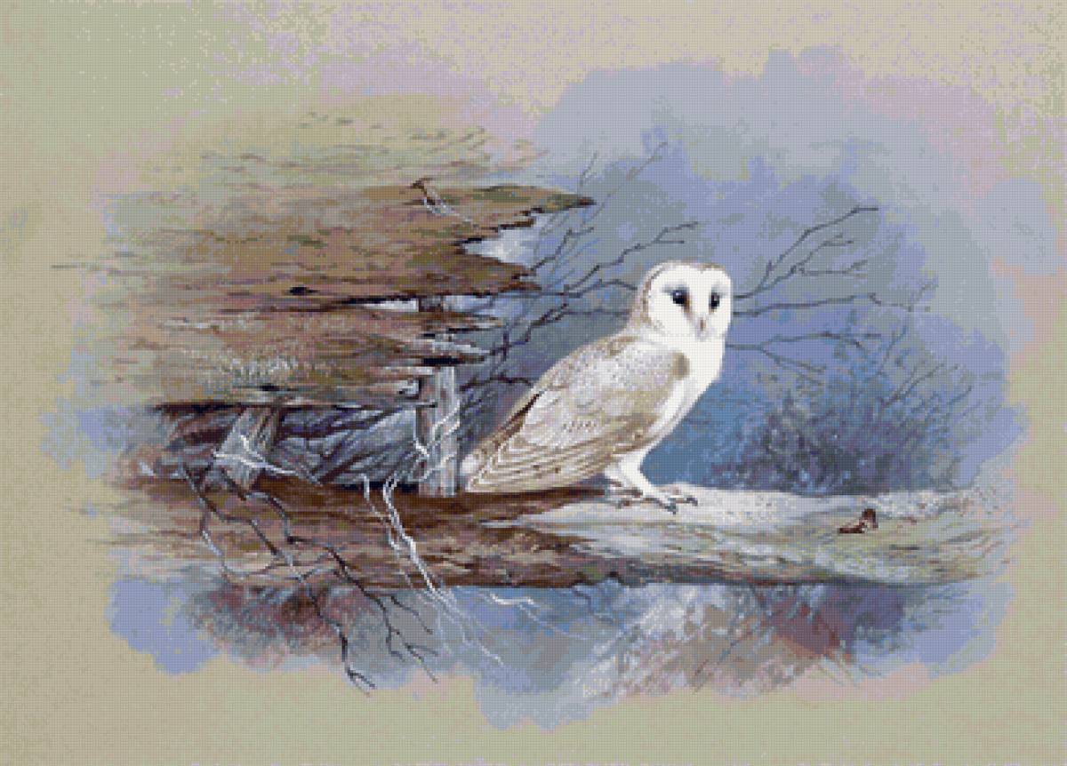 №2031580 - сова, птицы - предпросмотр