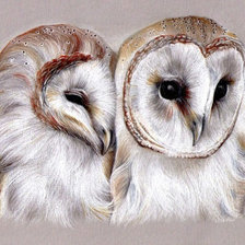 Схема вышивки «№2031581»