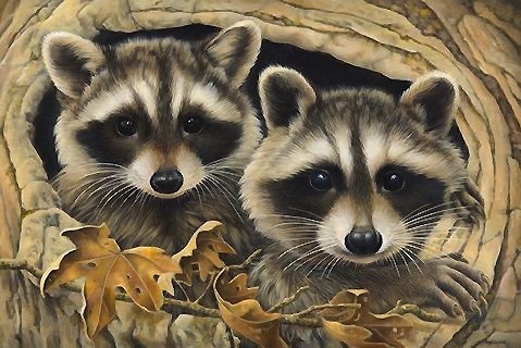 енотики - еноты, листья - оригинал