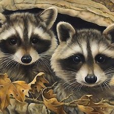 Схема вышивки «енотики»