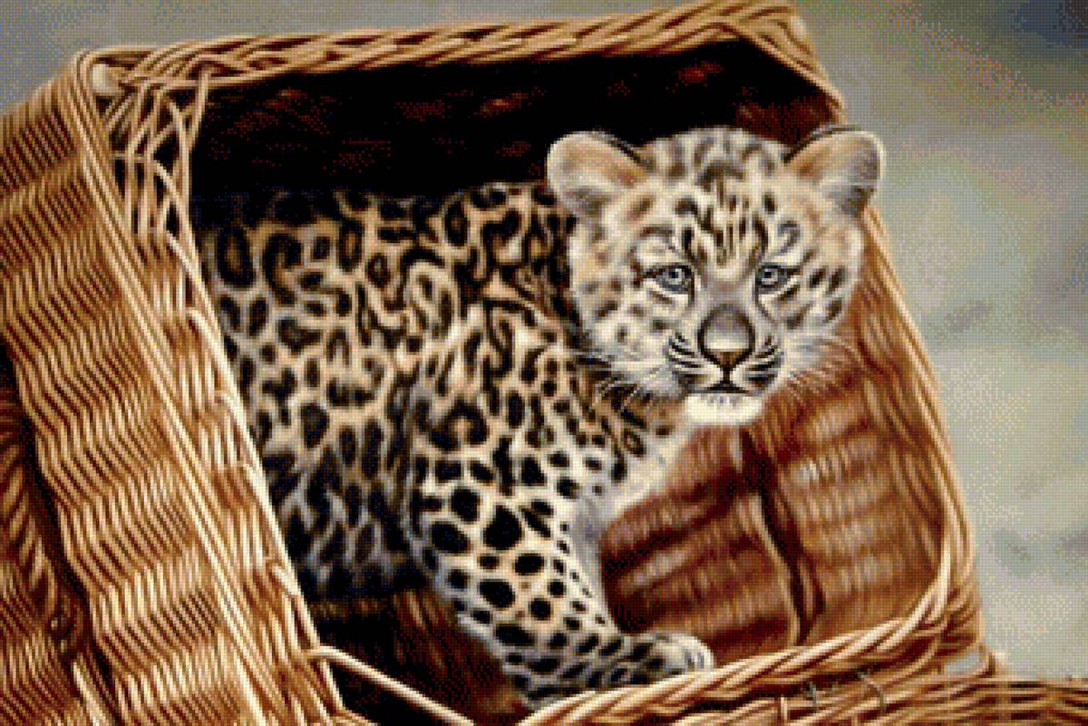 Первая встреча - хищник, кошка - предпросмотр