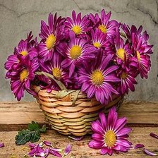 Схема вышивки «цветы»