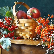 Схема вышивки «№2032020»