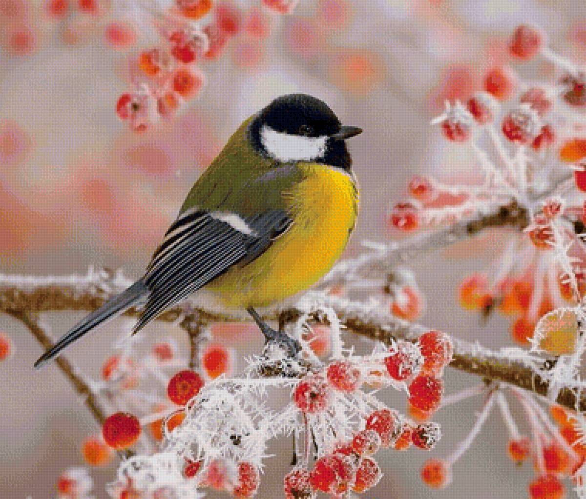 №2032041 - предпросмотр