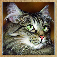 Схема вышивки «Котик»