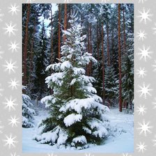 Схема вышивки «В лесу родилась елочка»