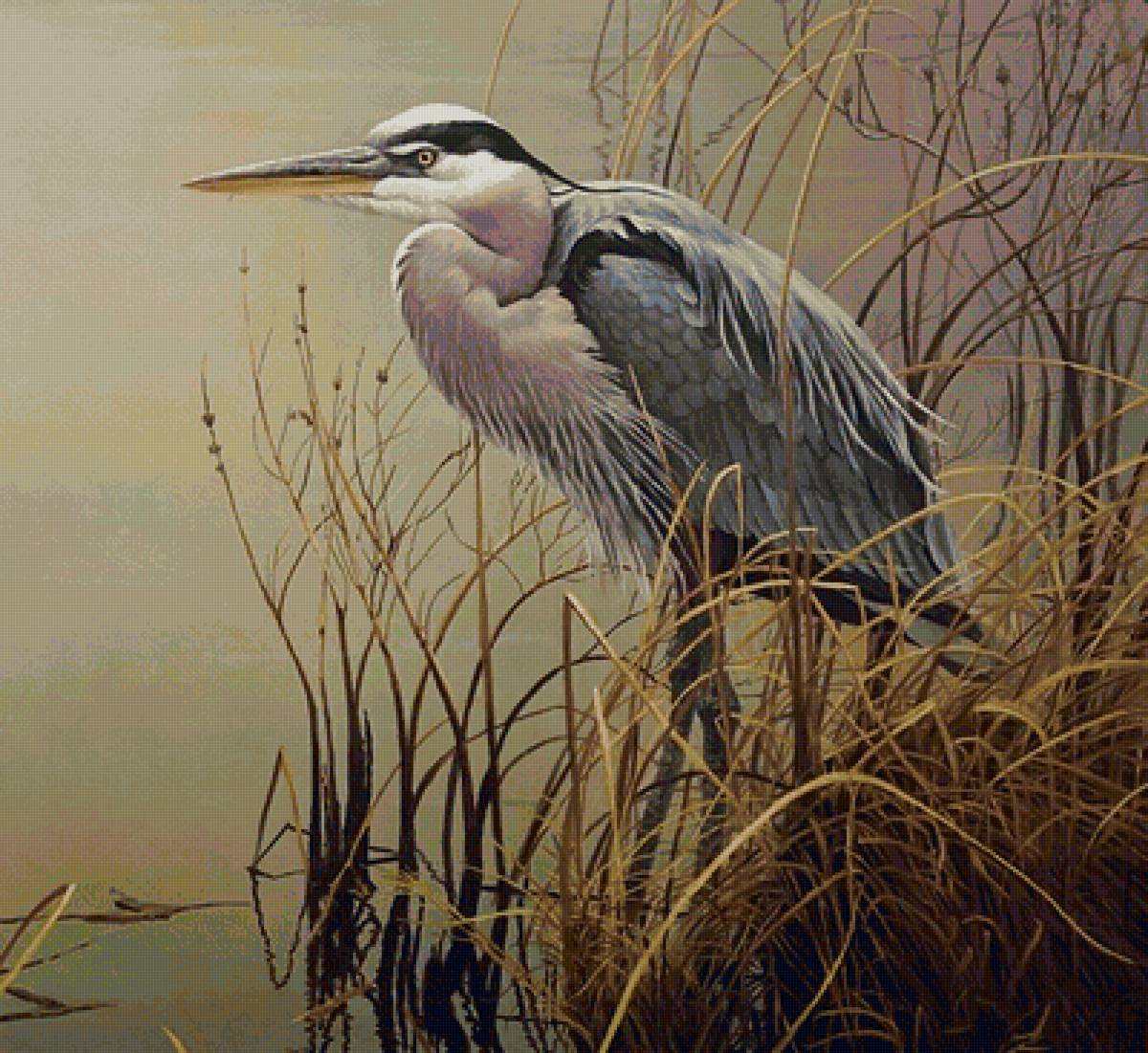 №2032174 - предпросмотр