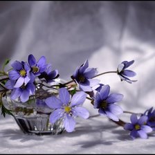 Схема вышивки «Весной запахло»