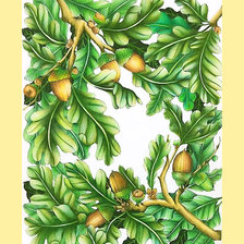 Схема вышивки «Серия "Флора". Лето»