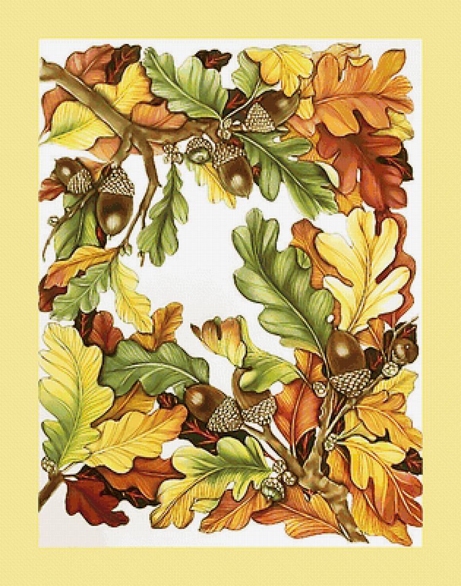 Серия "Флора". Осень - дуб, флора, желуди - предпросмотр