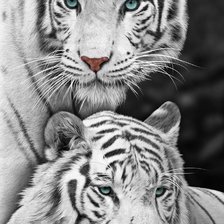 Схема вышивки «№2032578»