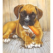 Схема вышивки «Серия "Собаки"»