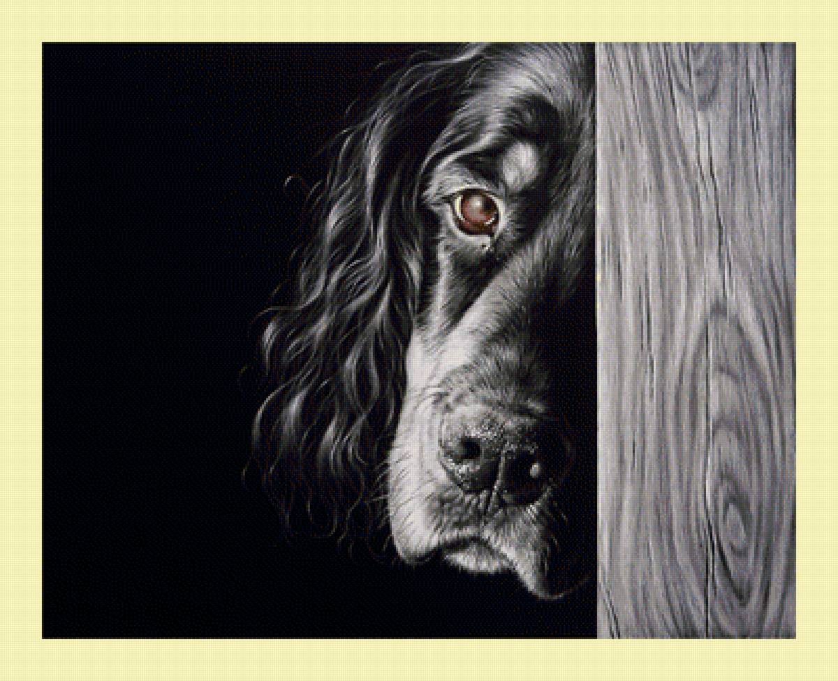 №2032584 - животные, собаки - предпросмотр