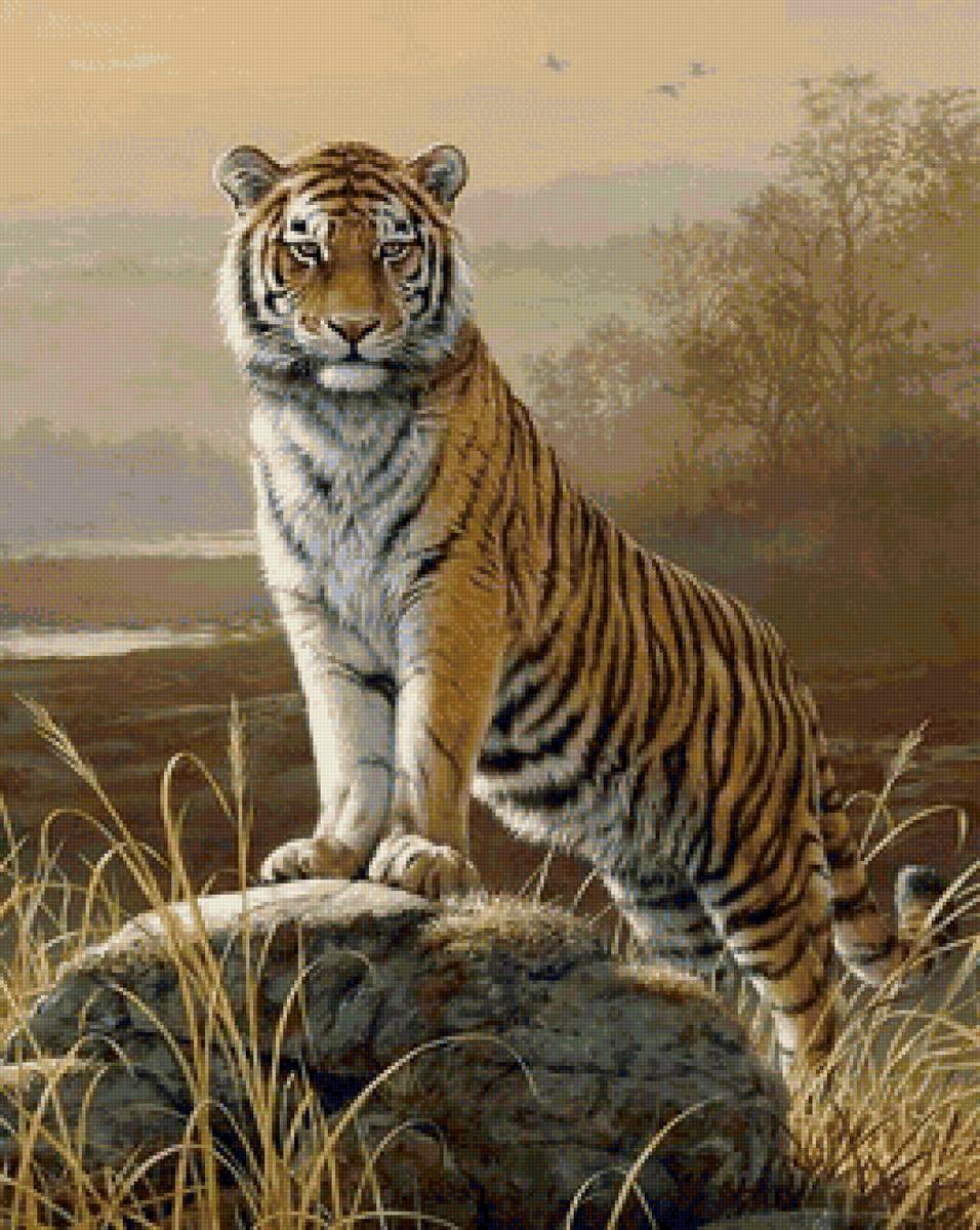 дикие - предпросмотр