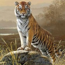 Схема вышивки «дикие»