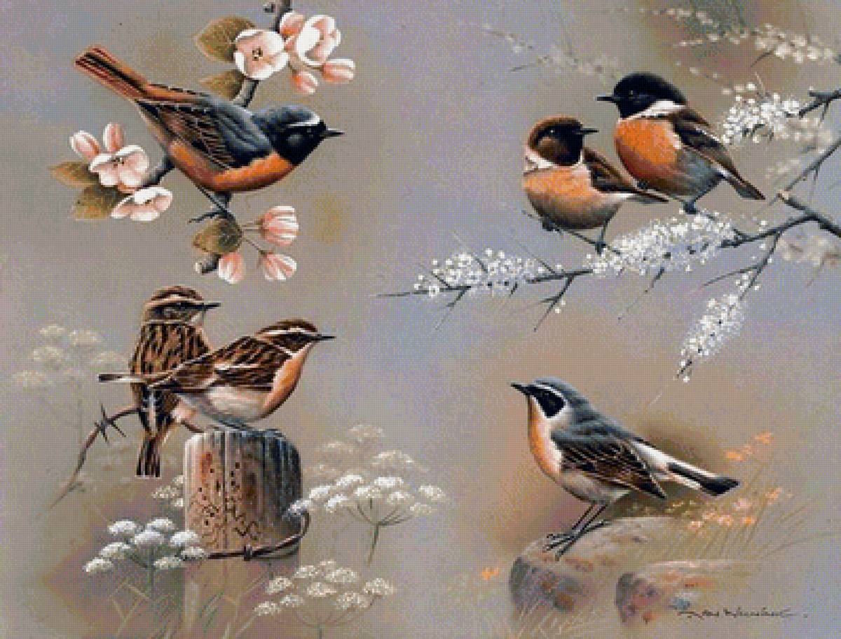 Птички на ветке - предпросмотр