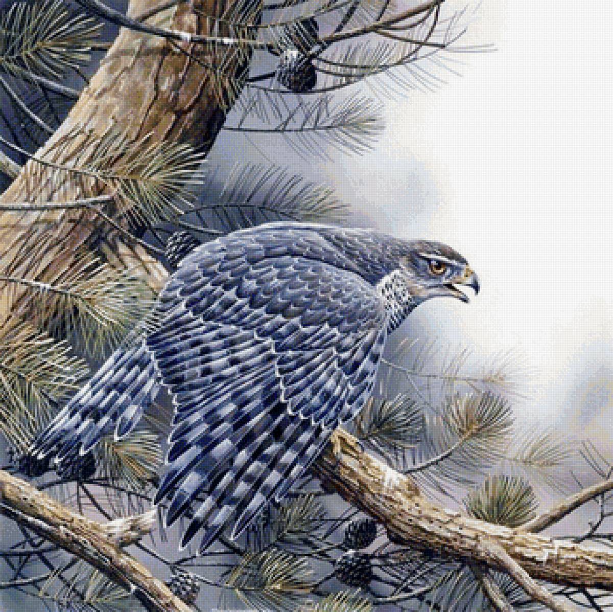 Страж леса - птицы - предпросмотр