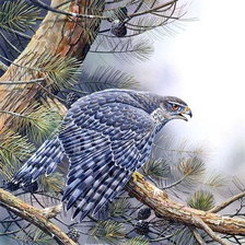 Схема вышивки «Страж леса»