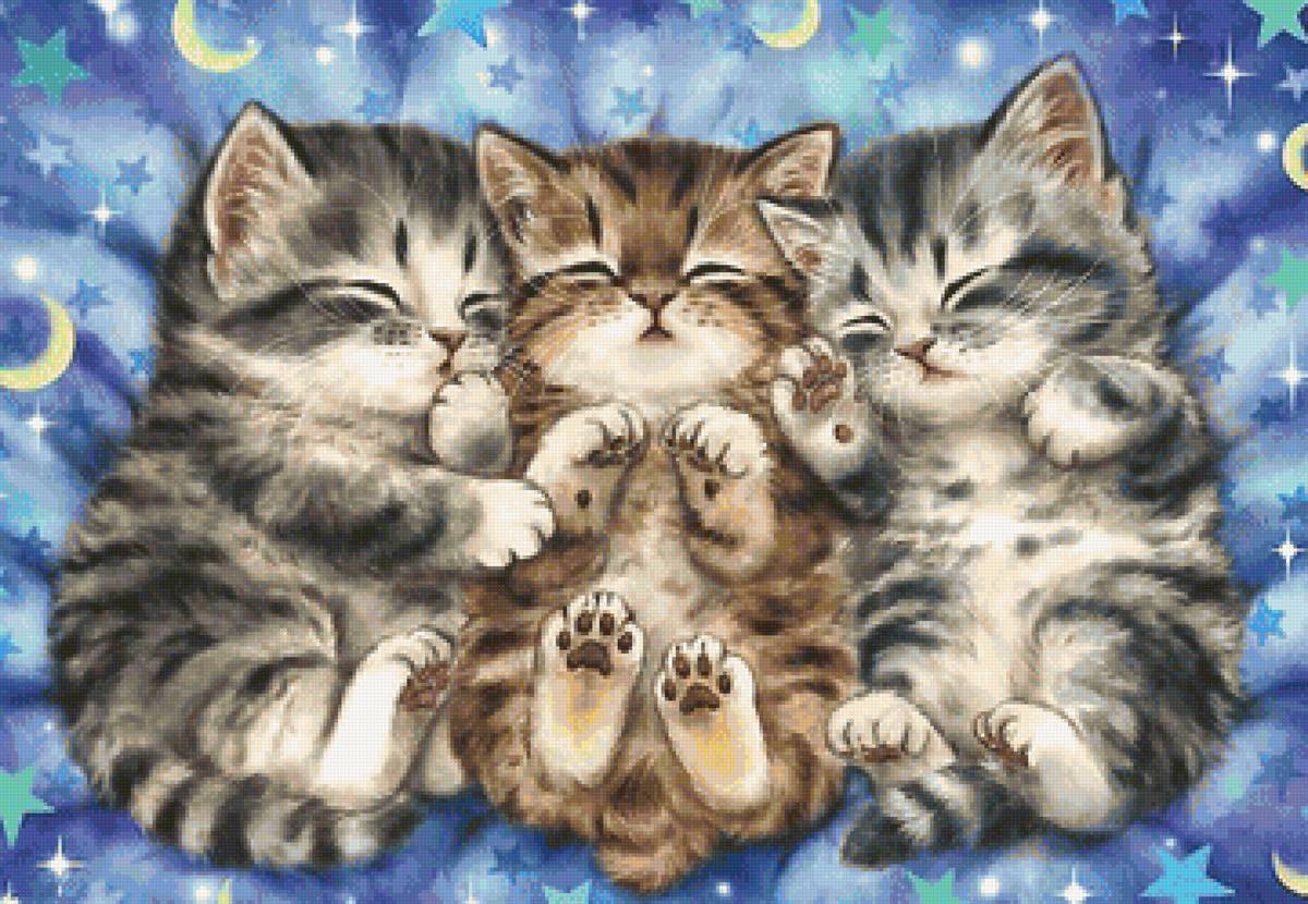 спящие котята - котята - предпросмотр