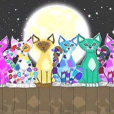 лунная прогулка