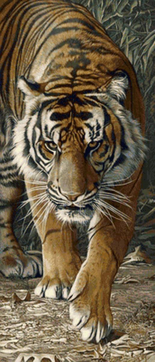 дикие - предпросмотр