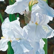 Схема вышивки «цветы»