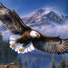 Схема вышивки «птицы»