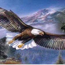 Схема вышивки «птицы»