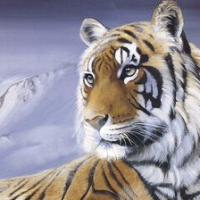 Схема вышивки «тигр»