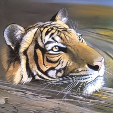 Схема вышивки «тигр»