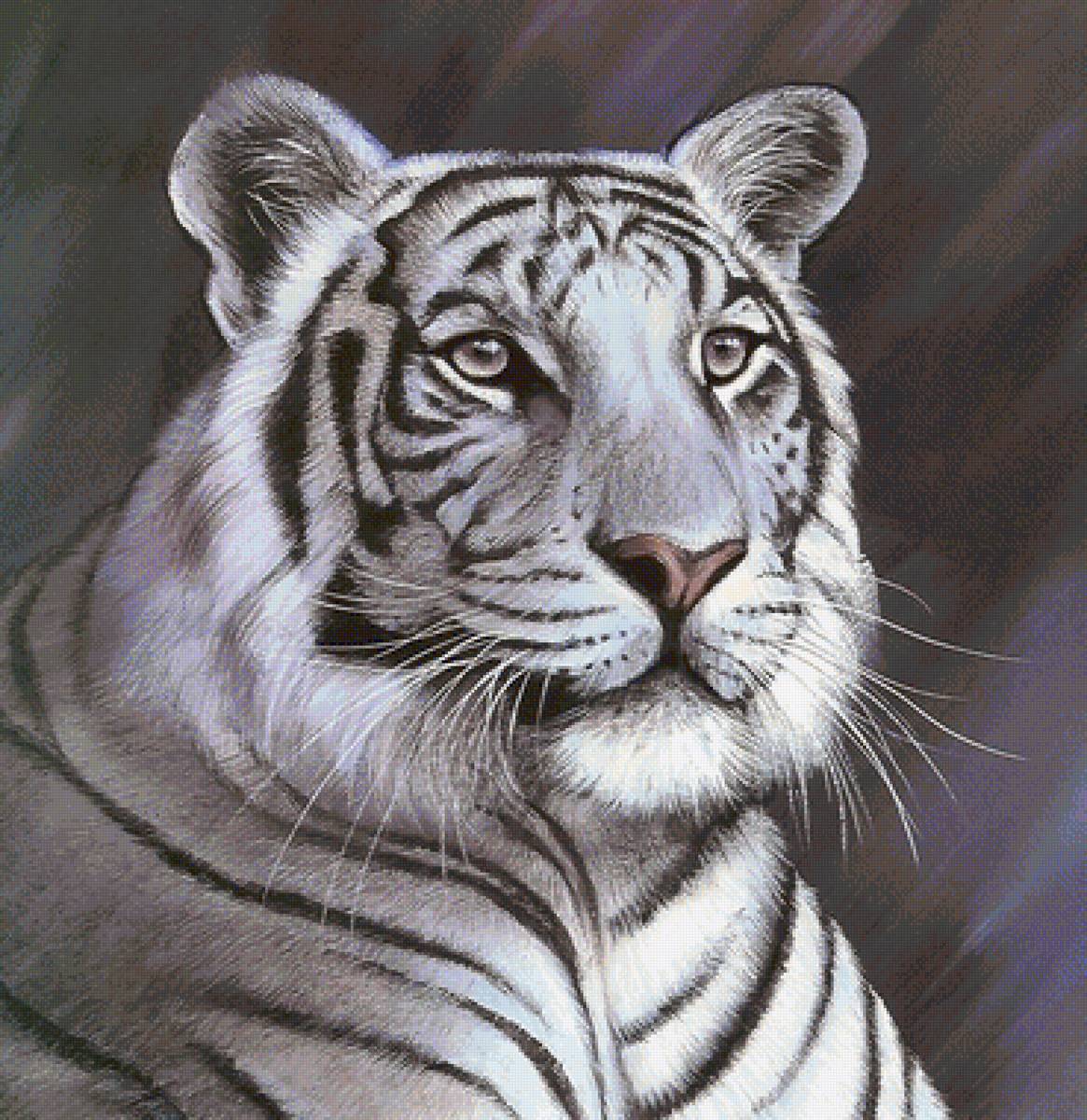 тигр - мир животных, тигр - предпросмотр