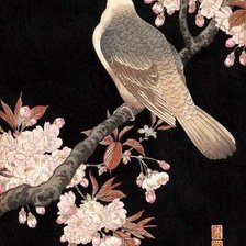 Схема вышивки «птицы»