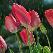 Схема вышивки «Под дождем»