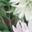 Предпросмотр схемы вышивки «Астры.» (№2033700)
